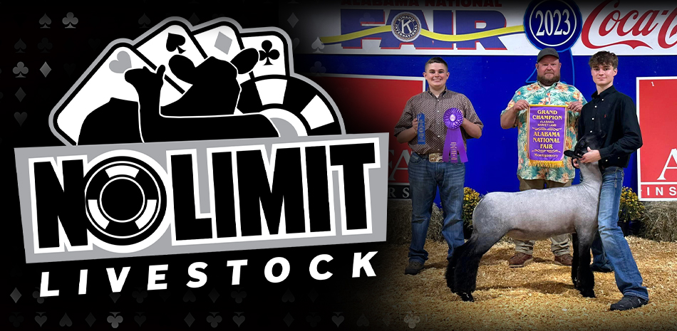 No Limit Livestock