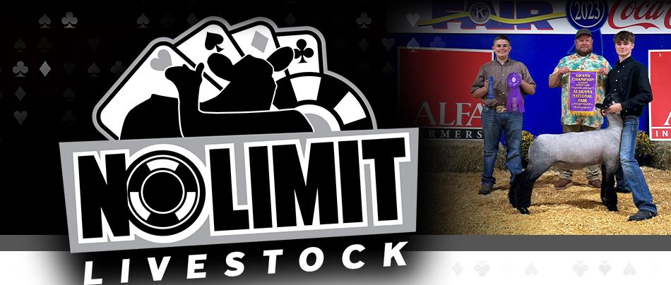 No Limit Livestock